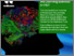 [thumbnail of 13964.pdf]